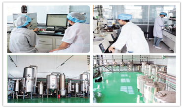 과일 오리고사카라이드 FOS 건강한 소화 기관을 위한 저 칼로리 감미료 4